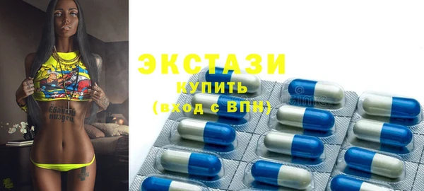 крисы Ельня