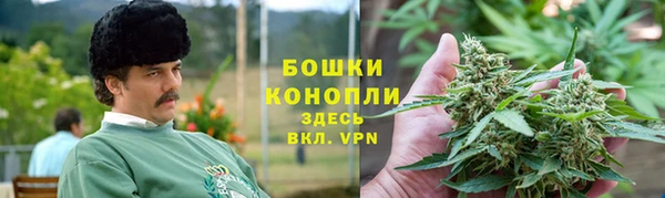 крисы Ельня