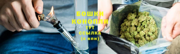 крисы Ельня
