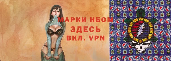 крисы Ельня