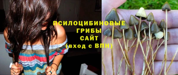 винт Елизово