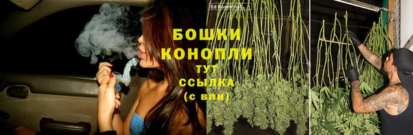 винт Елизово