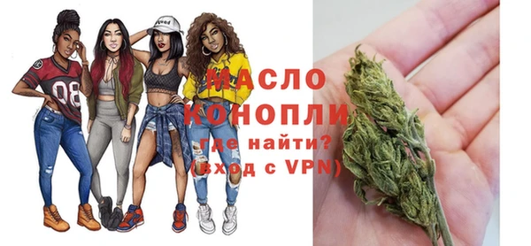 крисы Ельня