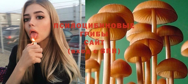 крисы Ельня