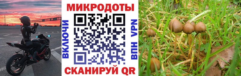 Галлюциногенные грибы мухоморы  Купить  Пикалёво 